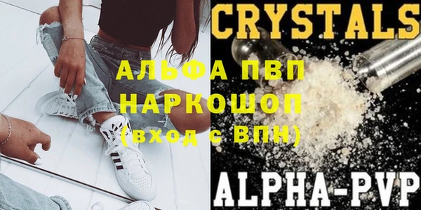 ECSTASY Дмитриев